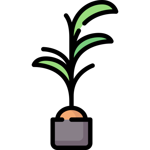 Coconut palm Special Lineal color icon