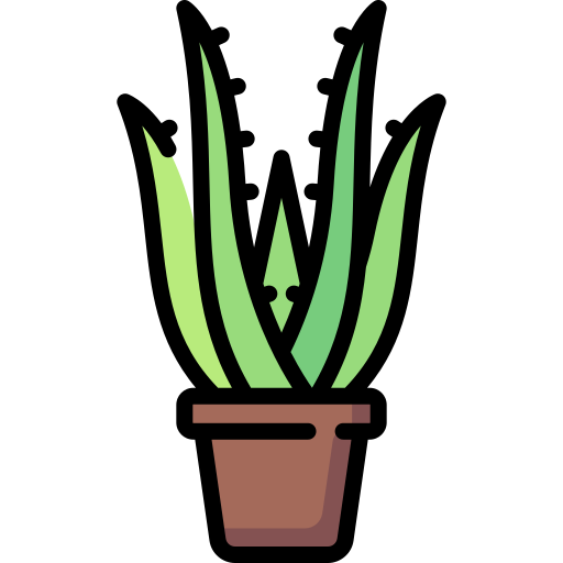 Aloe Vera Special Lineal color icon