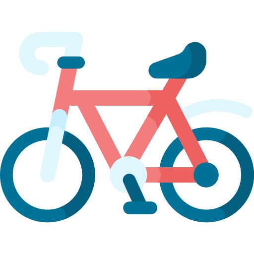 Bike  Special Flat icon