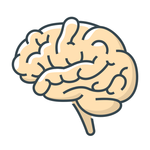 Órgano cerebral Generic Outline Color icono