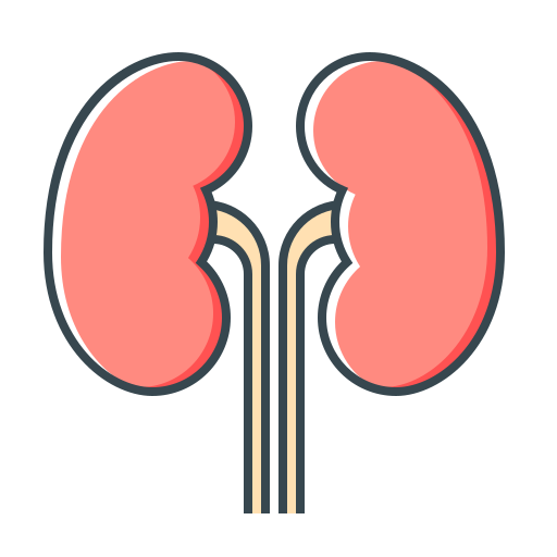 renal Generic Outline Color icono