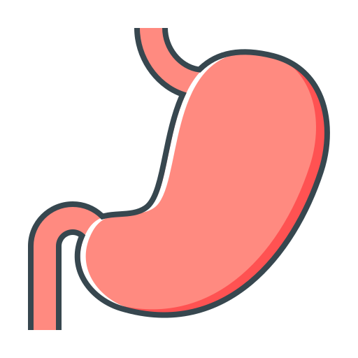 gastroentérologie Generic Outline Color Icône