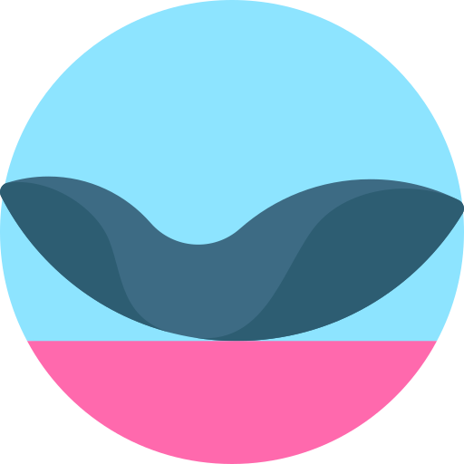 rückenbogen Detailed Flat Circular Flat icon