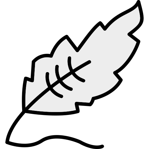 Feather Generic Outline Color icon