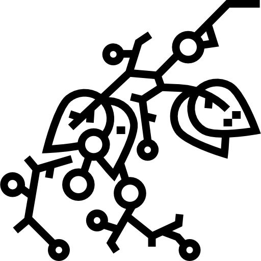 черника Detailed Straight Lineal иконка