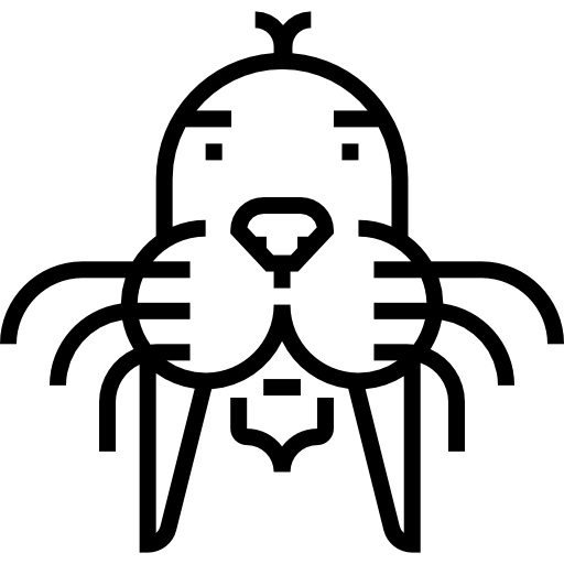 바다 코끼리 Detailed Straight Lineal icon