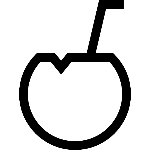 kokosnuss Basic Straight Lineal icon
