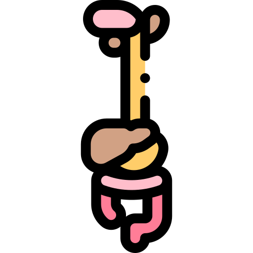 Желудочно-кишечный тракт Detailed Rounded Lineal color иконка