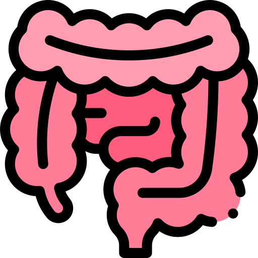 Intestines Detailed Rounded Lineal color icon