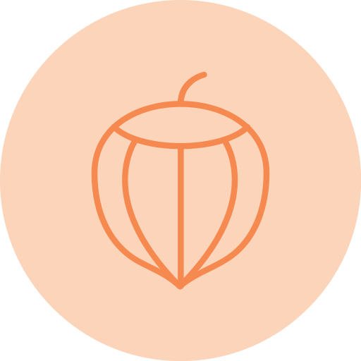 Hazelnut Generic Flat icon