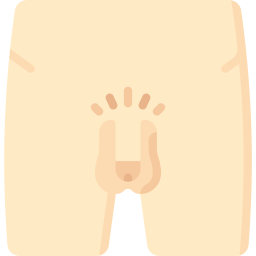 genitali Special Flat icona