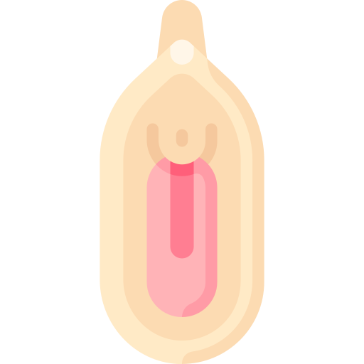 Vulva Special Flat icon