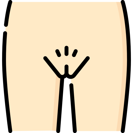 genitales Special Lineal color icono
