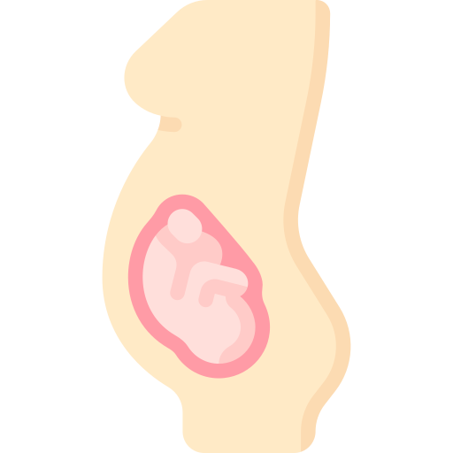 胎児 Special Flat icon