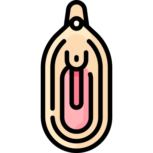 vulva Special Lineal color icono