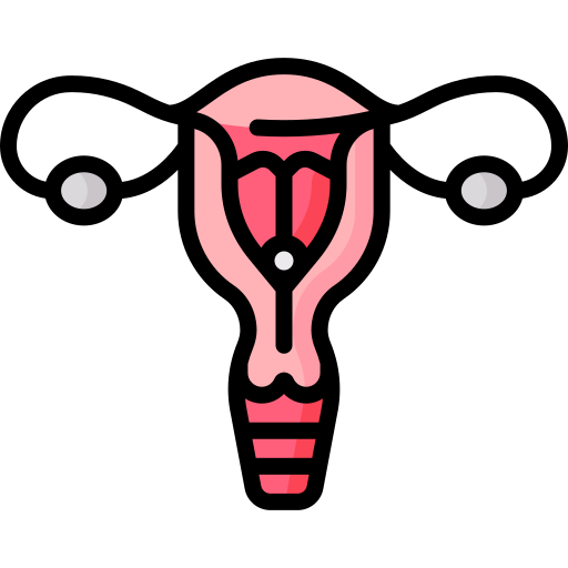 Útero Special Lineal color icono