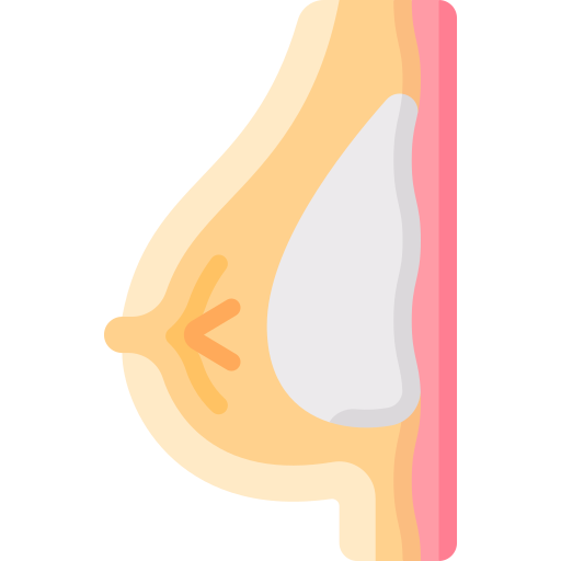 乳房インプラント Special Flat icon