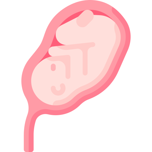 胎児 Special Flat icon