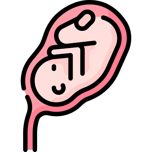 Fetus Special Lineal color icon