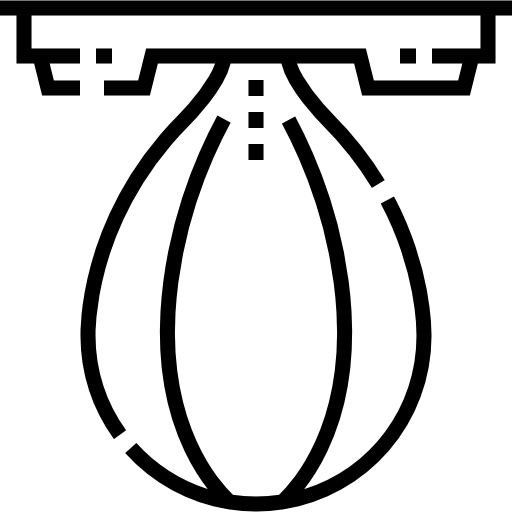 palla da boxe Detailed Straight Lineal icona