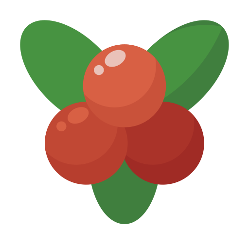 cranberry Generic Flat icoon