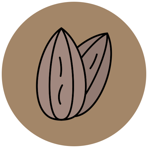 Almond Generic Outline Color icon