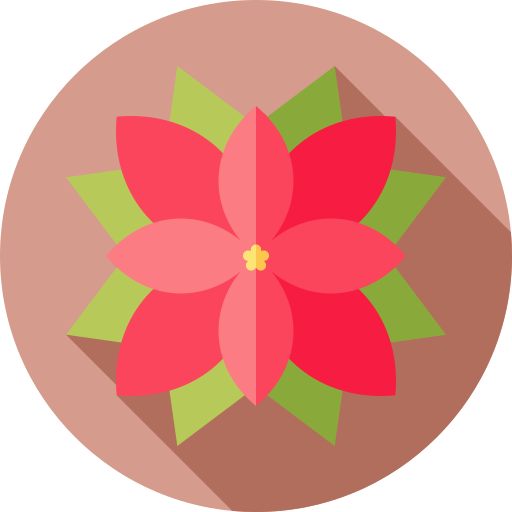 kerstster Flat Circular Flat icoon