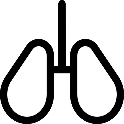 polmoni Basic Rounded Lineal icona