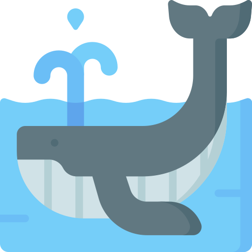 Whale Special Flat icon