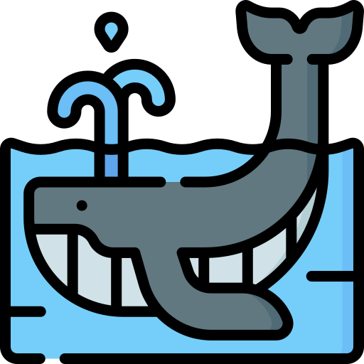 Whale Special Lineal color icon