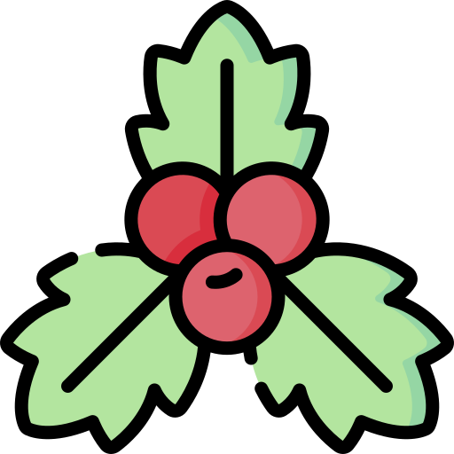 Mistletoe Special Lineal color icon