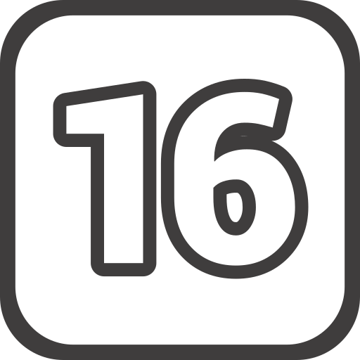 Number 16 Generic Detailed Outline icon