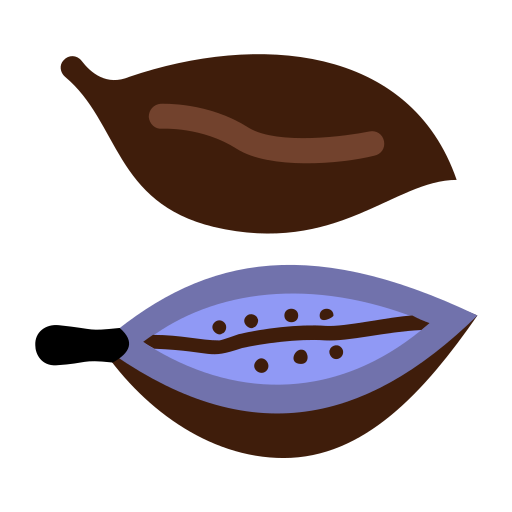 Cardamom Generic Flat icon
