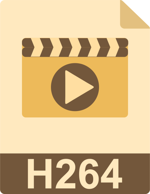H264 Generic Flat icon