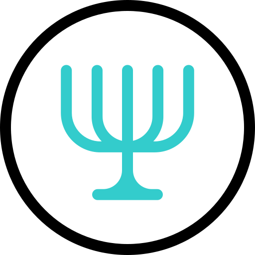 Shekel Basic Accent Outline icon