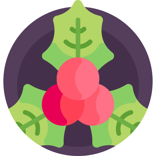 Mistletoe Detailed Flat Circular Flat icon