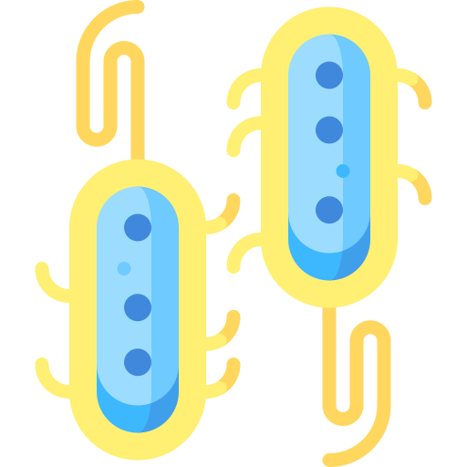 les bactéries Special Flat Icône