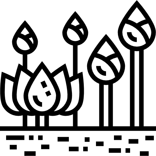 loto Detailed Straight Lineal icona