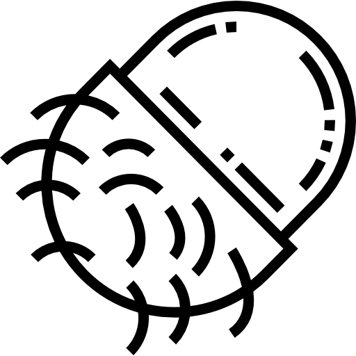 rambután Detailed Straight Lineal icono
