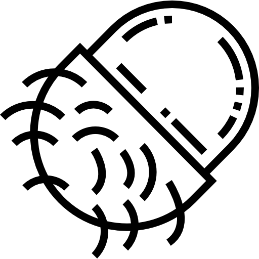 rambutan Detailed Straight Lineal icona