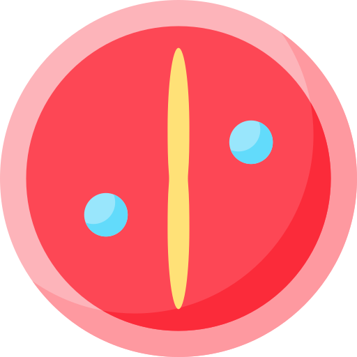 Zygote Special Flat icon
