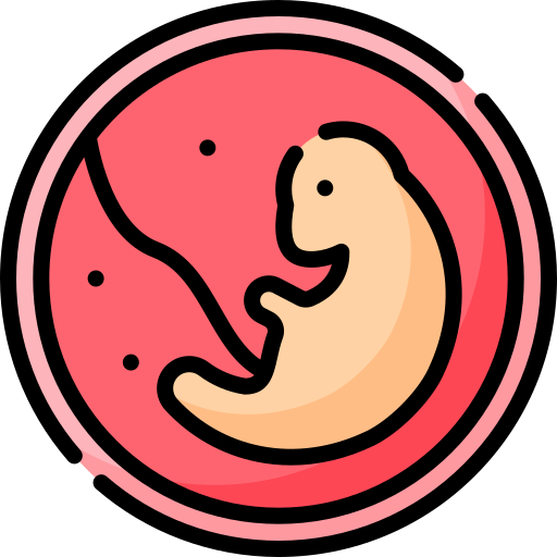 Embryo Special Lineal color icon