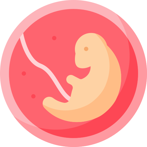 embrión Special Flat icono