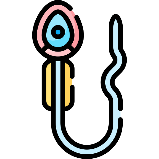 cellule spermatiche Special Lineal color icona