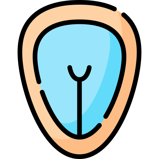 Neural tube Special Lineal color icon