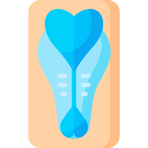 Neural tube Special Flat icon