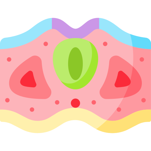 Neural tube Special Flat icon