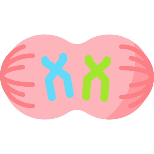 Cell division Special Flat icon