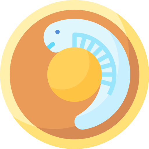 Embryo Special Flat icon