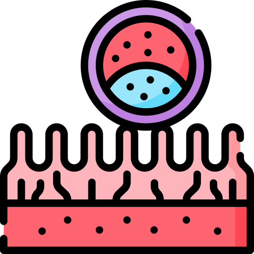 胚 Special Lineal color icon